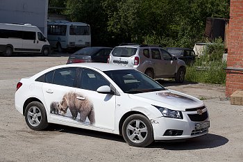 Печать на пленках - фото работ