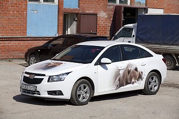 Затяжка авто винилом, автостайлинг